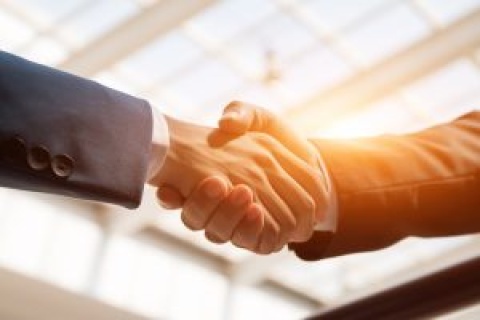Professional-handshake