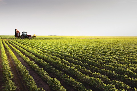 Tractor plowing field
