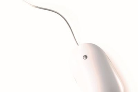 white computer mouse