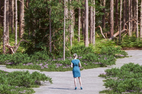Woman in a blue dress stands at a forked road in a forest, representing an insurance agent deciding whether staying with one insurance company is in the best interest of her clients and business expenses.