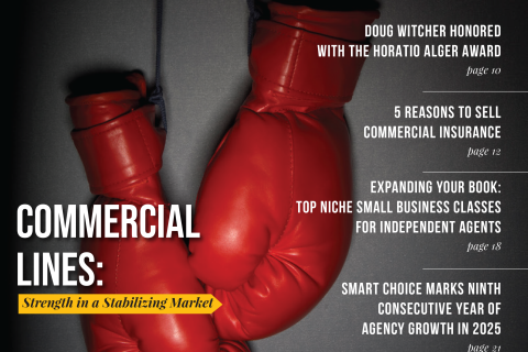 Cover of Magazine featuring red boxing gloves